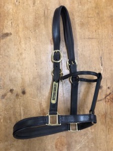 PADDED LEATHER HEADCOLLAR WITH EMBOSSED NAMEPLATE